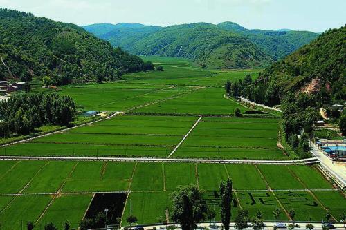 农村集体土地征地补偿费如何分配