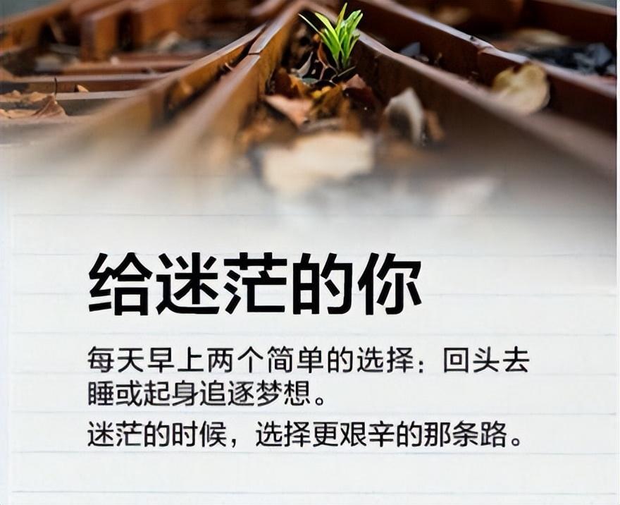 网贷/信用卡逾期怎么办，我用5年亲身经历告诉你......