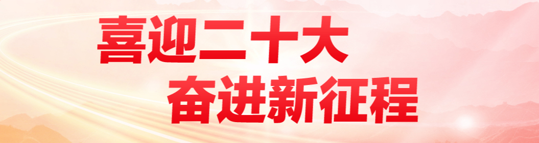 违停不缴罚款，200变400，还被人民法院强制执行，影响了征信，亏不亏？丨洛法案例