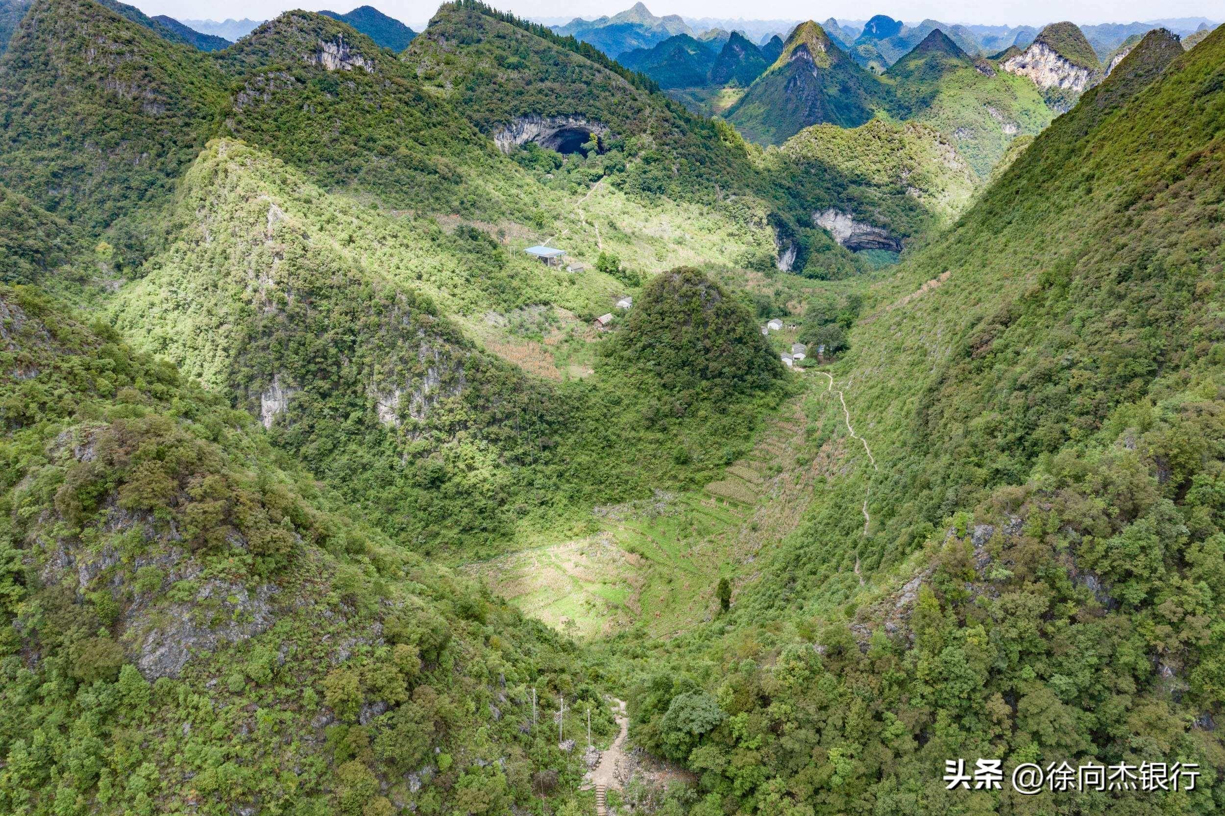 征信逾期报告明细单是什么样的,个人报告是不是征信