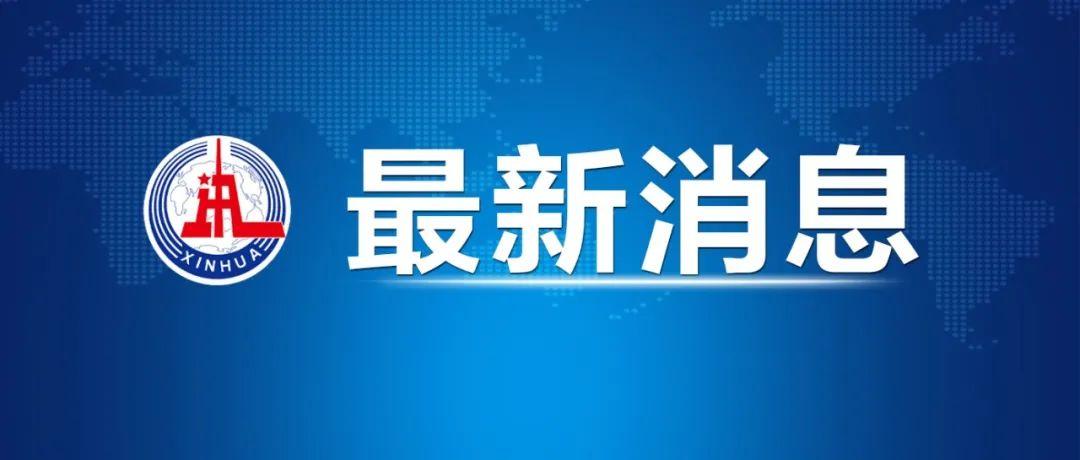 山东省市联合调查组通报：免职、降级