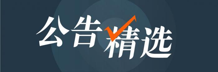 裕隆金融逾期上征信吗,st厦华股票重组