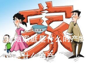 婚姻家庭是什么的产物,婚姻家庭咨询婚姻是什么的产物