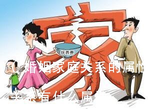 (婚姻家庭关系的属性是什么)婚姻家庭关系有什么属性