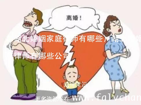 (湖北婚姻家庭律师有哪些)湖北婚姻家庭律师有哪些公司