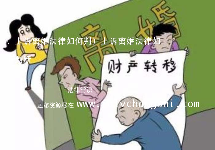 (上诉离婚法律如何判)上诉离婚法律如何判断