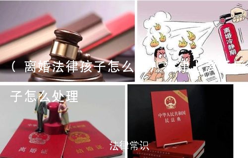 (离婚法律孩子怎么办)法律上离婚后孩子怎么处理