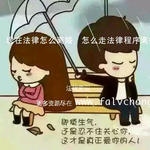 现在法律怎么离婚,怎么走法律程序离婚