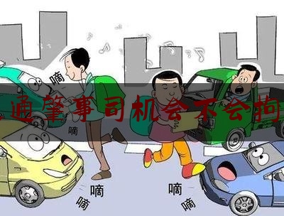 交通肇事司机会不会拘留（轻微碰撞车祸现场）