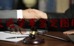 交通肇事鉴定图册（因为一个片段看了整部剧是什么日本***）