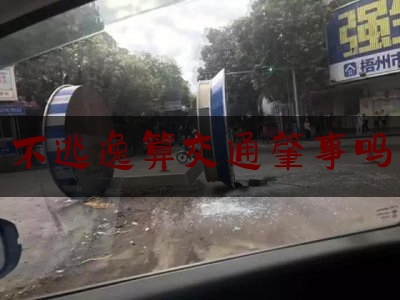 实事专业资讯:不逃逸算交通肇事吗,交通肇事后逃逸的认定