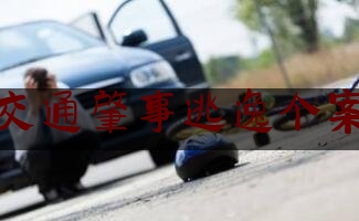 交通肇事逃逸个案（一块碎片成破案关键！“5.11”致人死亡交通肇事逃逸案成功告破）