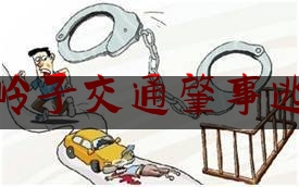 简单科普一下沙岭子交通肇事逃逸,数学核心素养用数学的眼光观察和表达现实世界