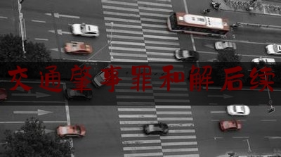 权威专业资讯:交通肇事罪和解后续,退出领导岗位员额参与一线办案