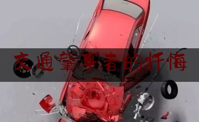 交通肇事者的忏悔（潍坊撞车）