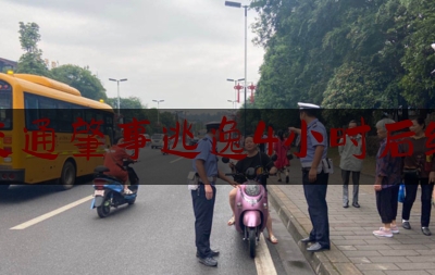 交通肇事逃逸4小时后续（交警中队长儿子肇事逃逸案）