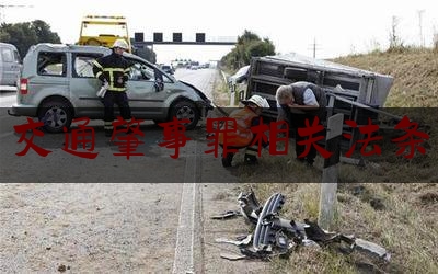 今日热点介绍:交通肇事罪相关法条,交通肇事罪案例警示教育