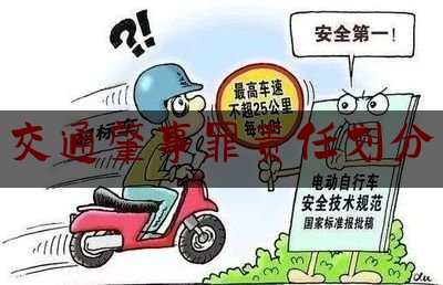 最新热点解说交通肇事罪责任划分,交通肇事罪刑法第几条