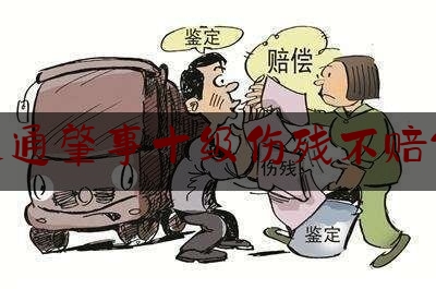 交通肇事十级伤残不赔偿（如果我的狗被人伤害怎么办）