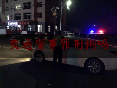 交通肇事罪刑拘吗（将车交给饮酒的人驾驶）