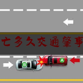 科普一下!死亡多久交通肇事罪,交通肇事罪和过失致人死亡罪的区别