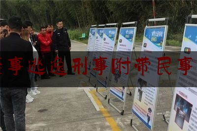 交通肇事逃逸刑事附带民事判决书（肇事逃逸致人死亡民事赔偿标准）