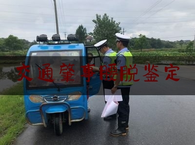 交通肇事腰脱鉴定（流动的中国是什么意思）