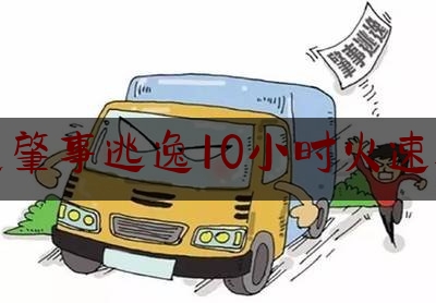 交通肇事逃逸10小时火速破案（广西德保：交通肇事逃逸牵出涉毒线索 警方16小时火速破案）