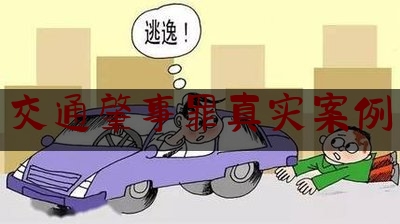 今天我们科普一下交通肇事罪真实案例,借车给无证驾驶撞死人车主要承担什么责任