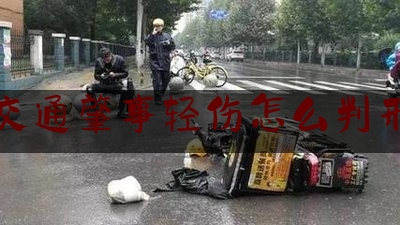 交通肇事轻伤怎么判刑（交警之子肇事逃逸）