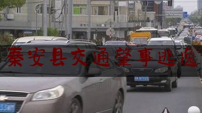 秦安县交通肇事逃逸（秦安县8.05专案）