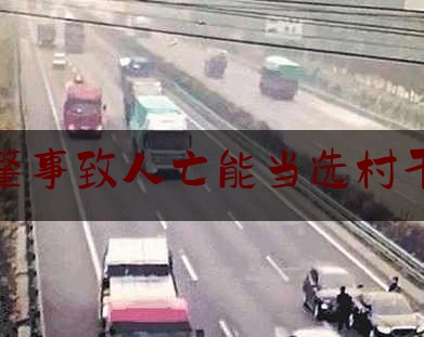 交通肇事致人亡能当选村干部吗（当村干部要具备什么条件）