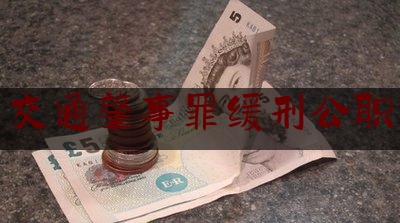 交通肇事罪缓刑公职（德保副县长酒驾）