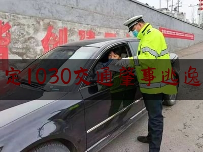 安定1030交通肇事逃逸致（北京警方开展夏季治安打击整治“百日行动”护航首都发展）