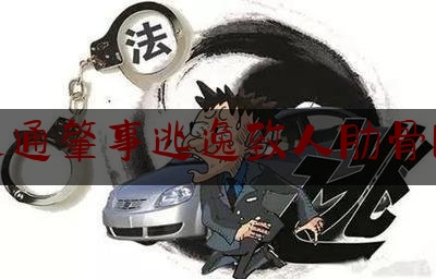 交通肇事逃逸致人肋骨断（蛟河公安破获一起交通肇事逃逸案件）