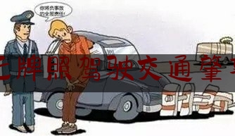 无牌照驾驶交通肇事（变道急刹车）