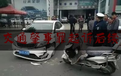 交通肇事罪起诉后续（妻子撞死丈夫后倒车撞死自己）