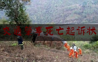 交通肇事死亡起诉状（民事起诉状（交通事故人身损害，一般情况））