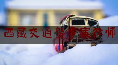 西藏交通肇事案律师（AA制自驾游事故致伤残 同行人诉司机索赔）
