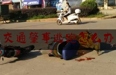 权威干货速递:交通肇事逃跑怎么办,交通肇事逃逸怎么处罚标准