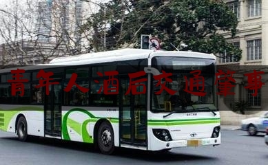 今日资深发布:青年人酒后交通肇事,家庭教育指导师哪个证最权威