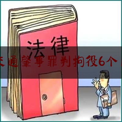 交通肇事罪判拘役6个月（交通肇事罪适用缓刑标准是什么）