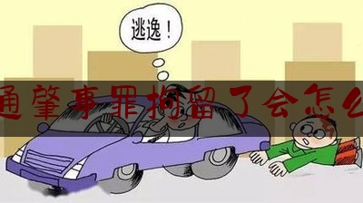 交通肇事罪拘留了会怎么样（轻微肇事逃逸一般拘留几天）