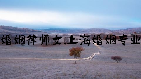 上海婚姻律师女,上海婚姻专业律师