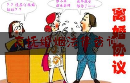 离抚婚姻法律咨询