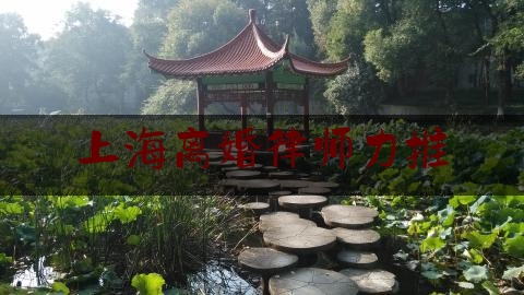 上海离婚律师力推（上海律师事务所律师排名）