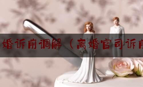 上海离婚诉前调解（离婚官司诉前调解）