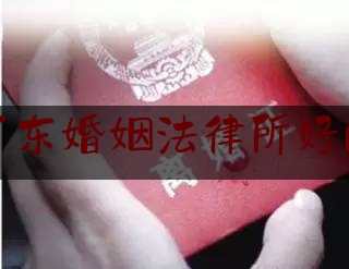 广东婚姻法律所好的