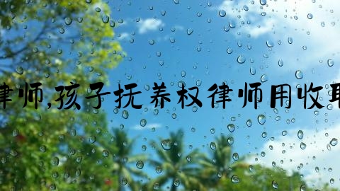 上海律师,孩子抚养权律师用收取标准