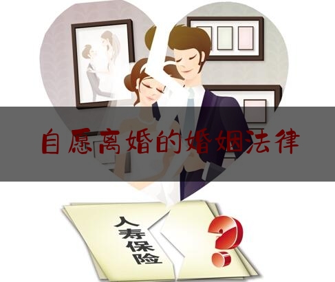 自愿离婚的婚姻法律